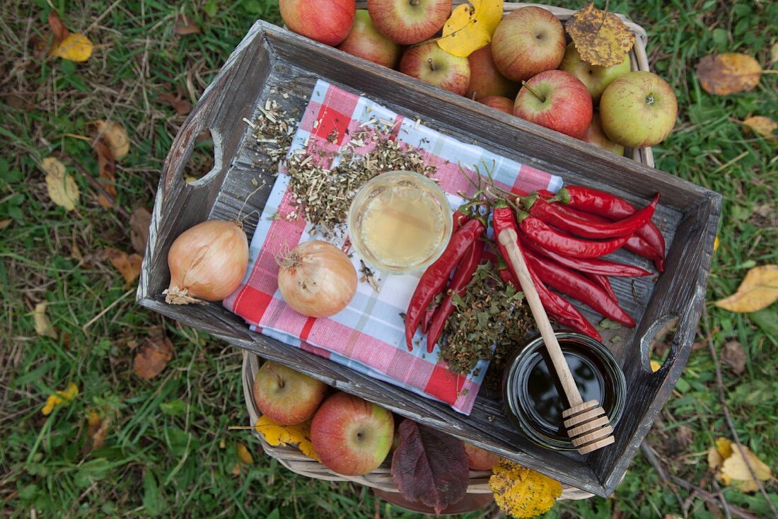 Onions, chillies, apple cider, honey and herbs on a wooden tray