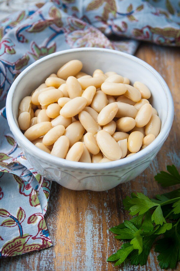 A Bowl of Cannellini Beans