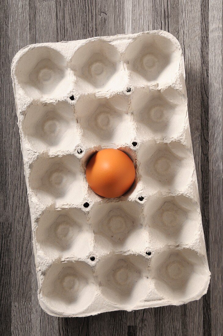 One brown egg in an egg carton