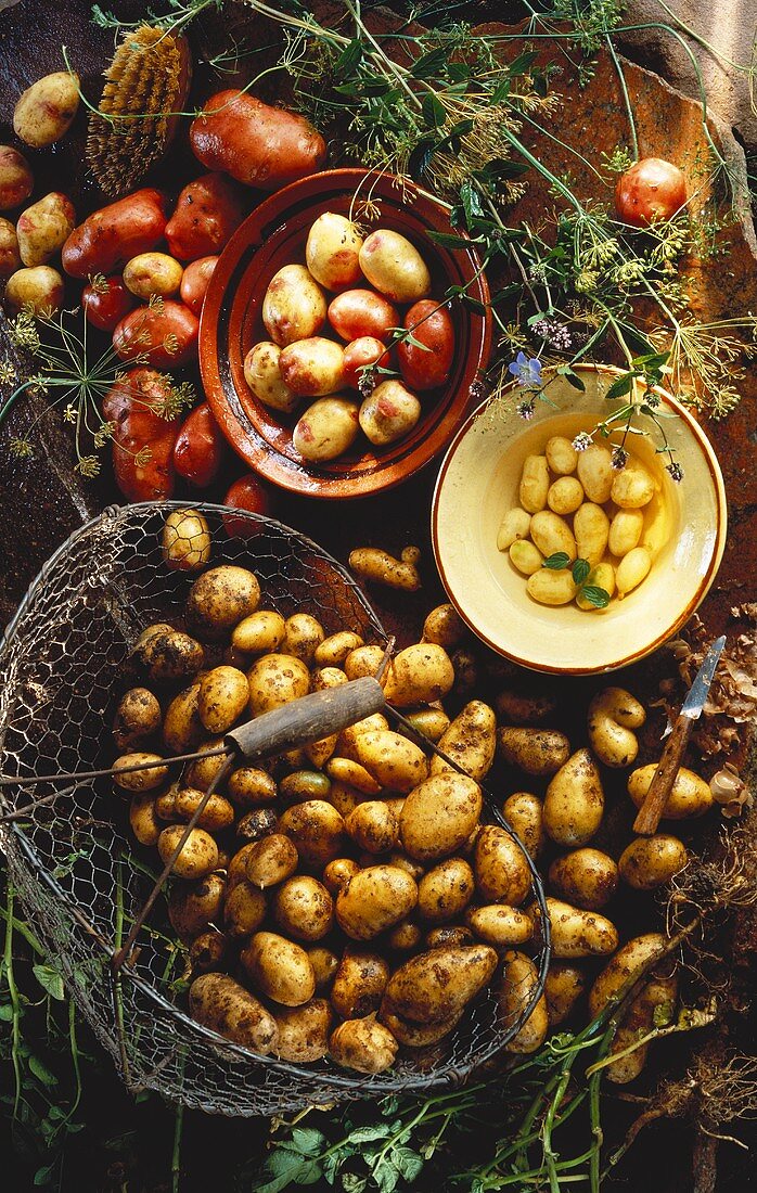 Kartoffeln, geschälte Kartoffeln & Süßkartoffeln in Schalen
