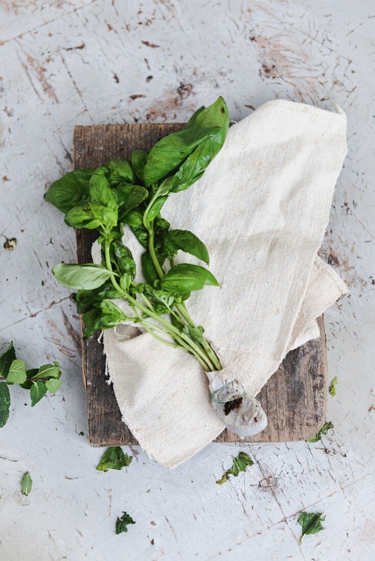 Basil with a wrapped root ball