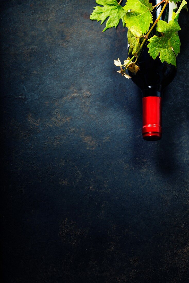 Rotweinflasche und Weinblätter auf schwarzem Untergrund
