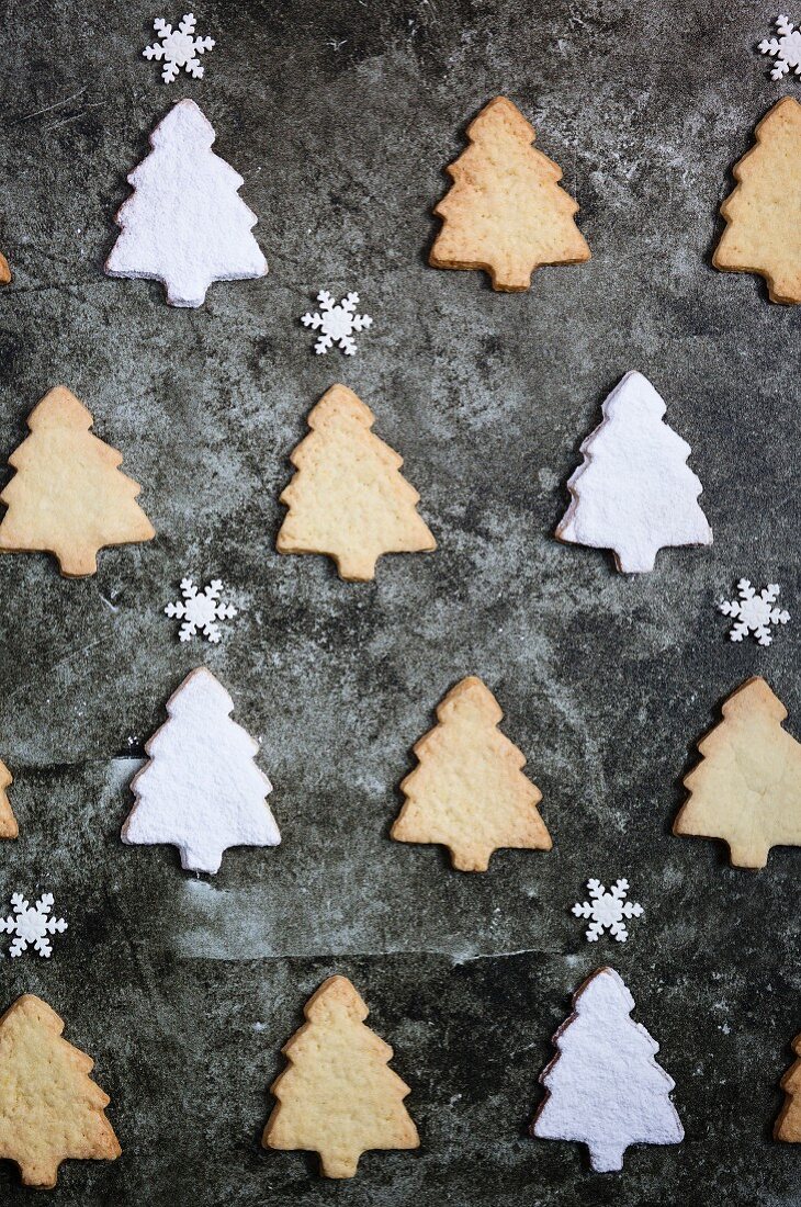 Christmas tree shaped cookies on dark background
