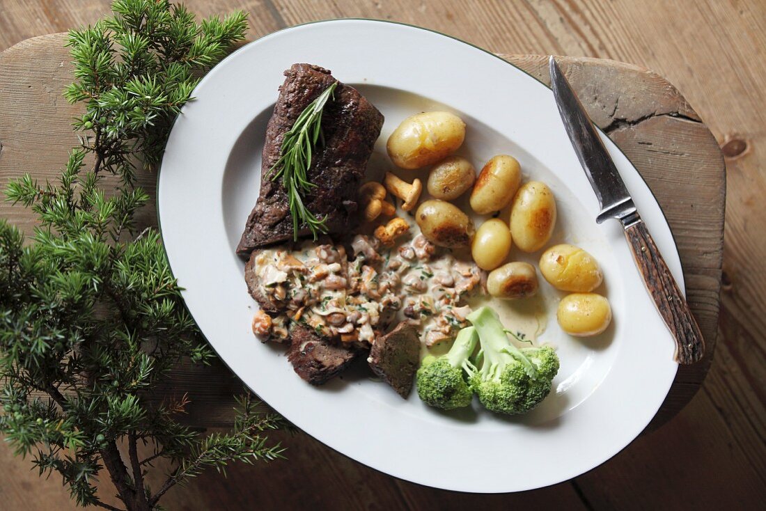 Venison with mushroom sauce and baby potatoes