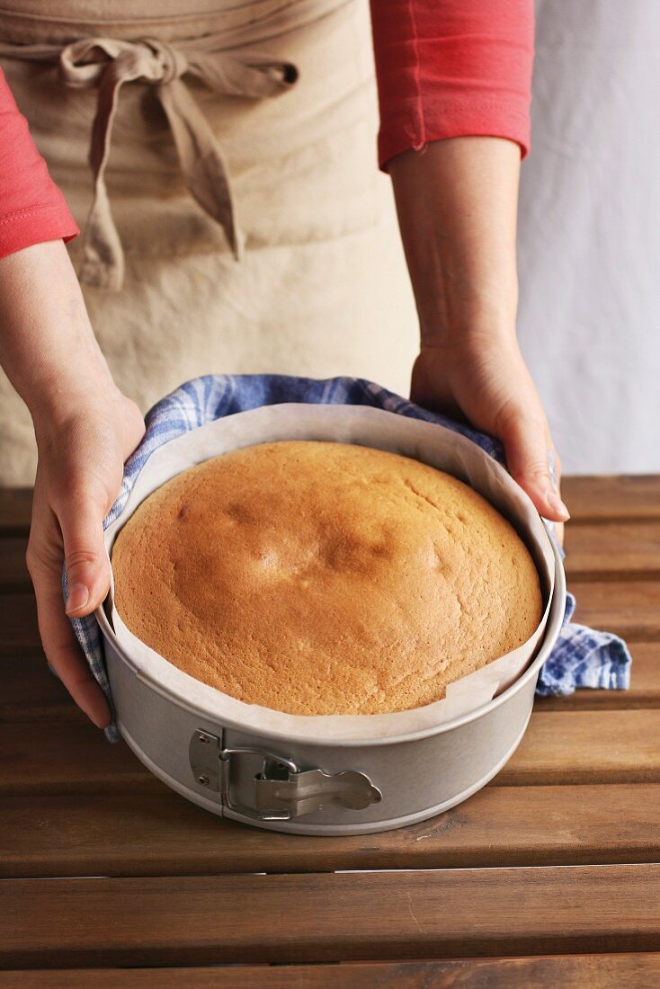 Female hands holding a sponge cake in a pan
