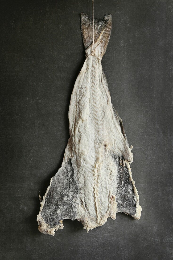 Salted cod fish hanging to dry