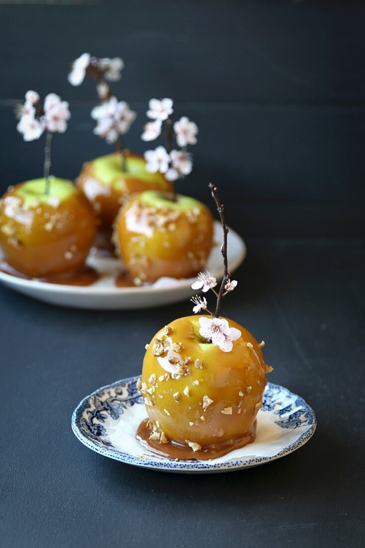 Caramel toffee apples with walnuts on wooden stick