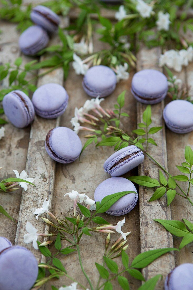 Lavender and Chocolate Macarons with Jasmine Flowers