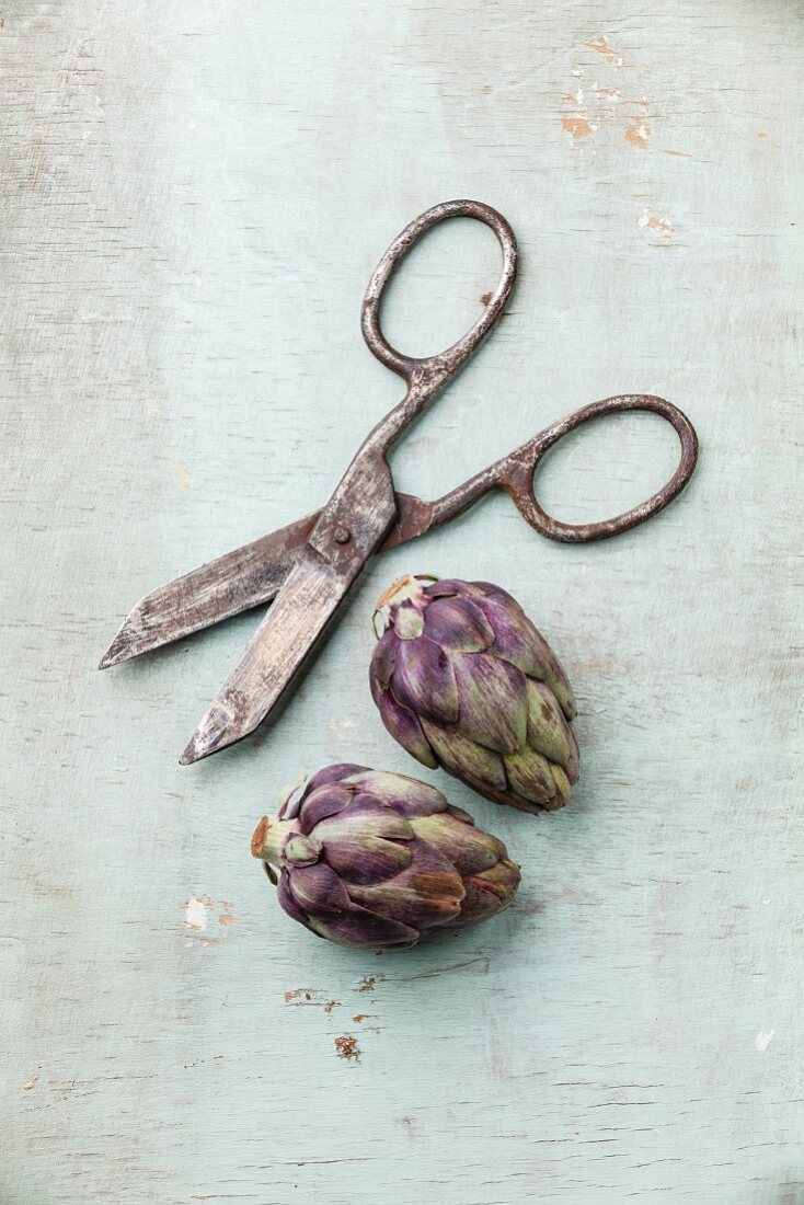 Two whole artichokes and vintage scissors on rustic wooden background