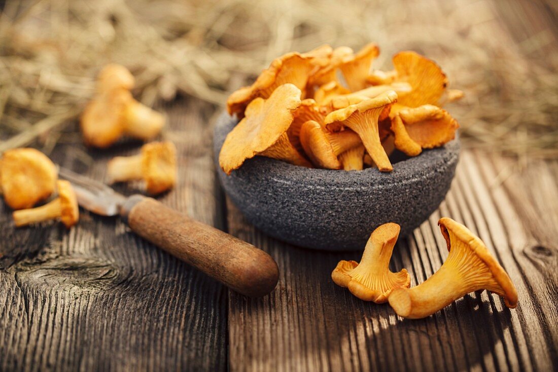 Bowl of chanterelles on а wooden table