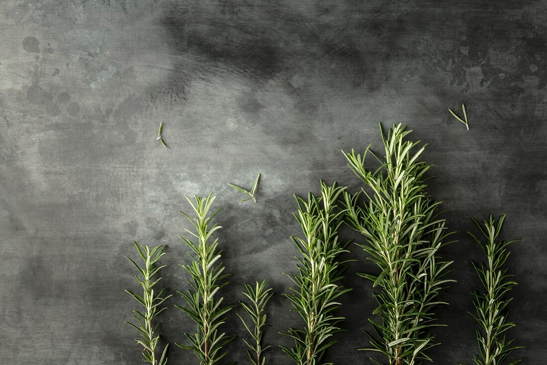 Row of rosemary stems on a grey stone surface