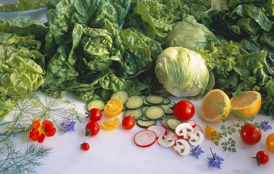 Stillleben mit Salat & verschiedenem Gemüse (Salatzutaten)