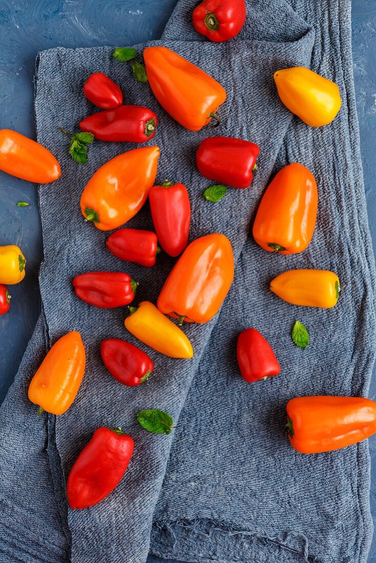 Sweet Crunchy Colorful Peppers on a Dark Grey Background