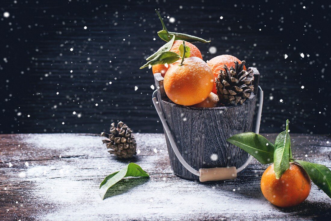 Winterliches Stillleben mit Mandarinen und Zapfen in Holzeimer vor Hintergrund mit Schnee