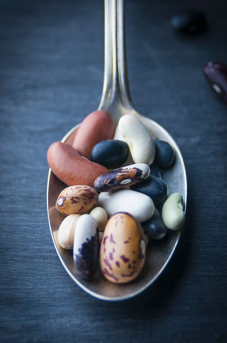 A Close Up of Dried Heirloom Beans on a Silver Spoon