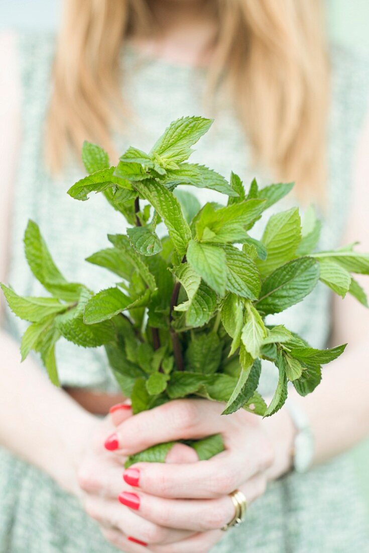 Woman holding a bunch of freshly picked mint