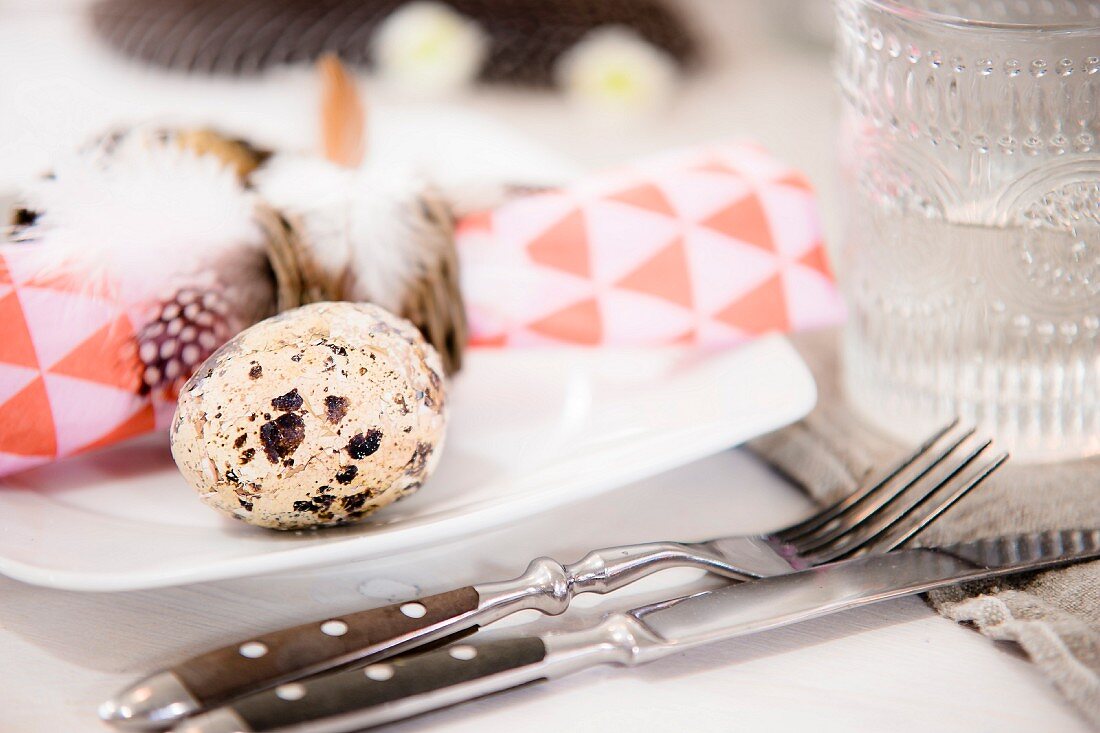 Quail egg, napkin and feather on white plate