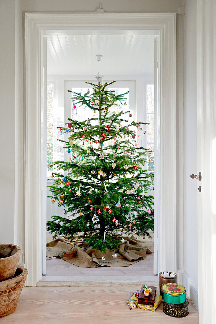 Blick durch offene Tür auf großen geschmückten Weihnachtsbaum