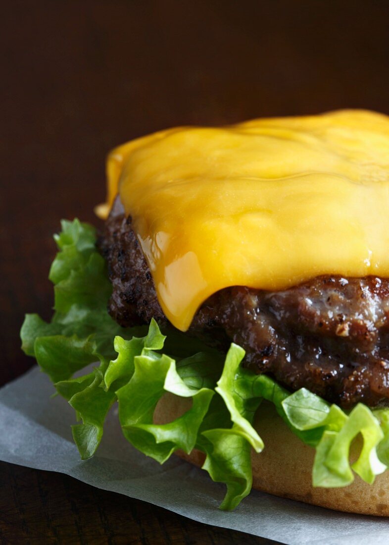 Grilled beef burger on a white bun with curly lettuce and melted cheddar cheese