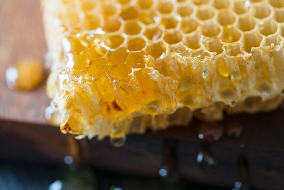 Honeycomb (close up)