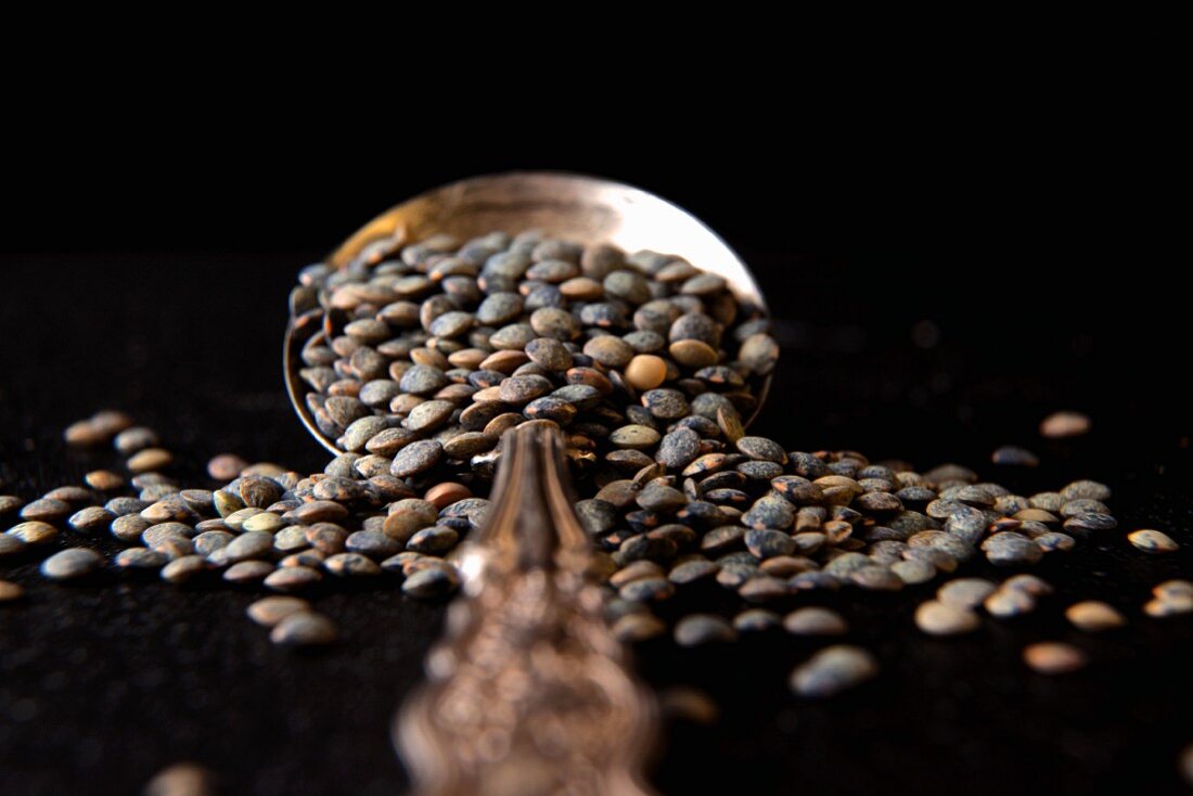 Organic Lentils, with a silver spoon