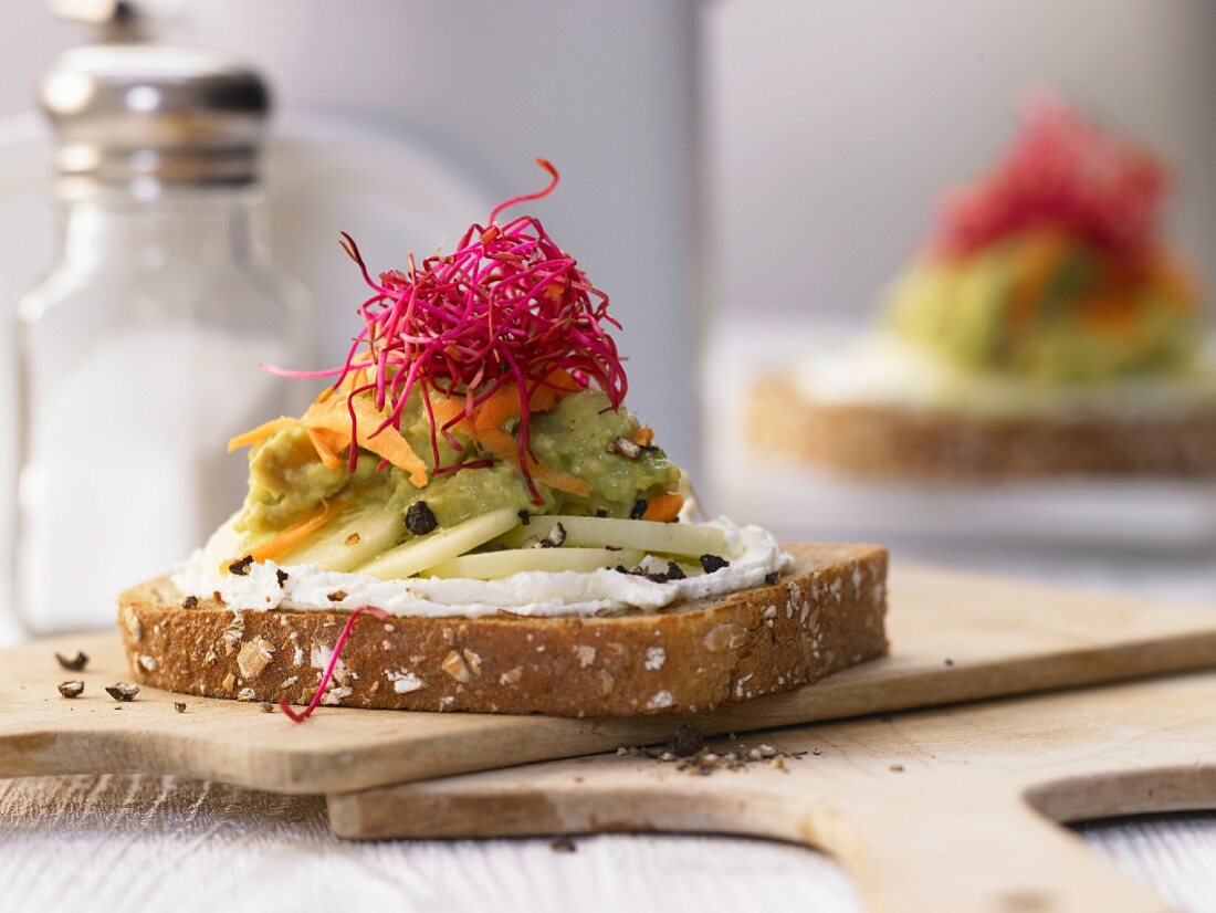 Avocado and fresh cheese on bread with carrots, cucumber and sprouts