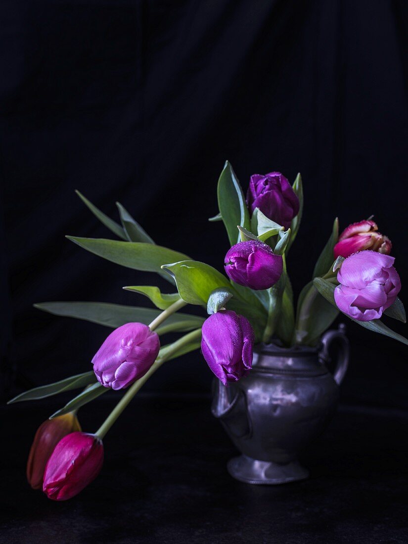 Tulips in pewter teapot