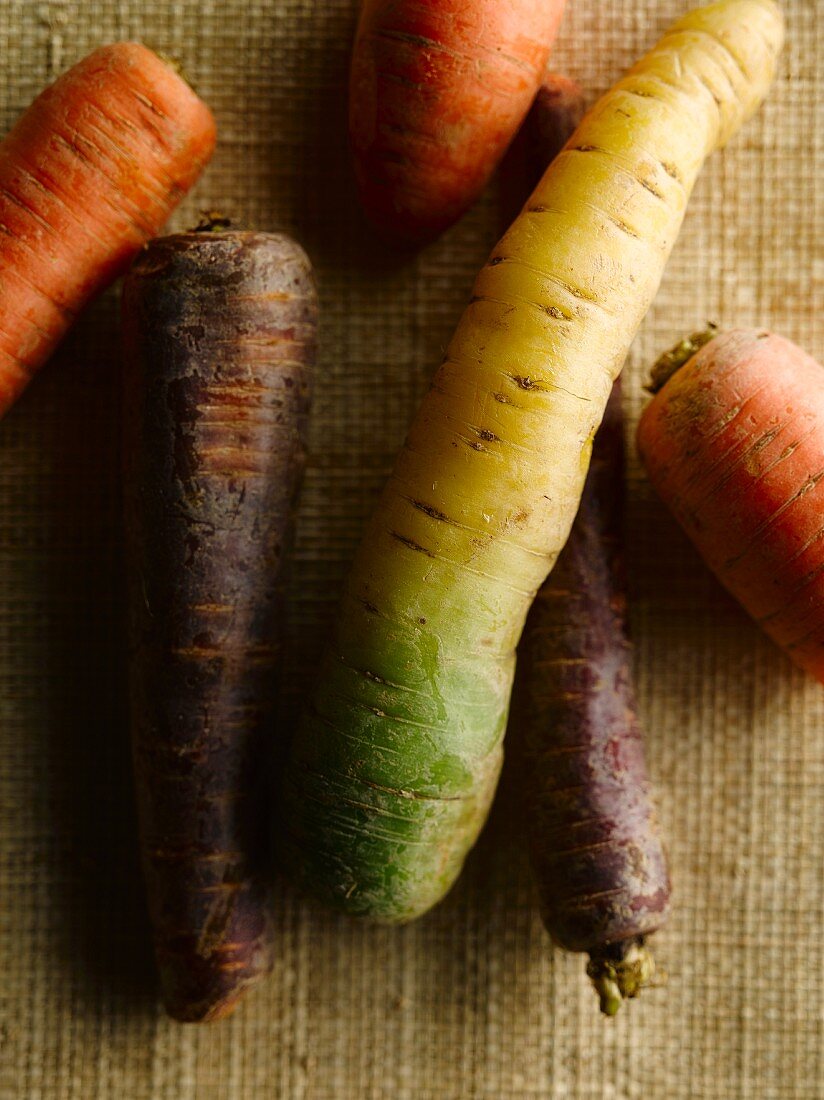 Different carrot varieties on a jute cloth