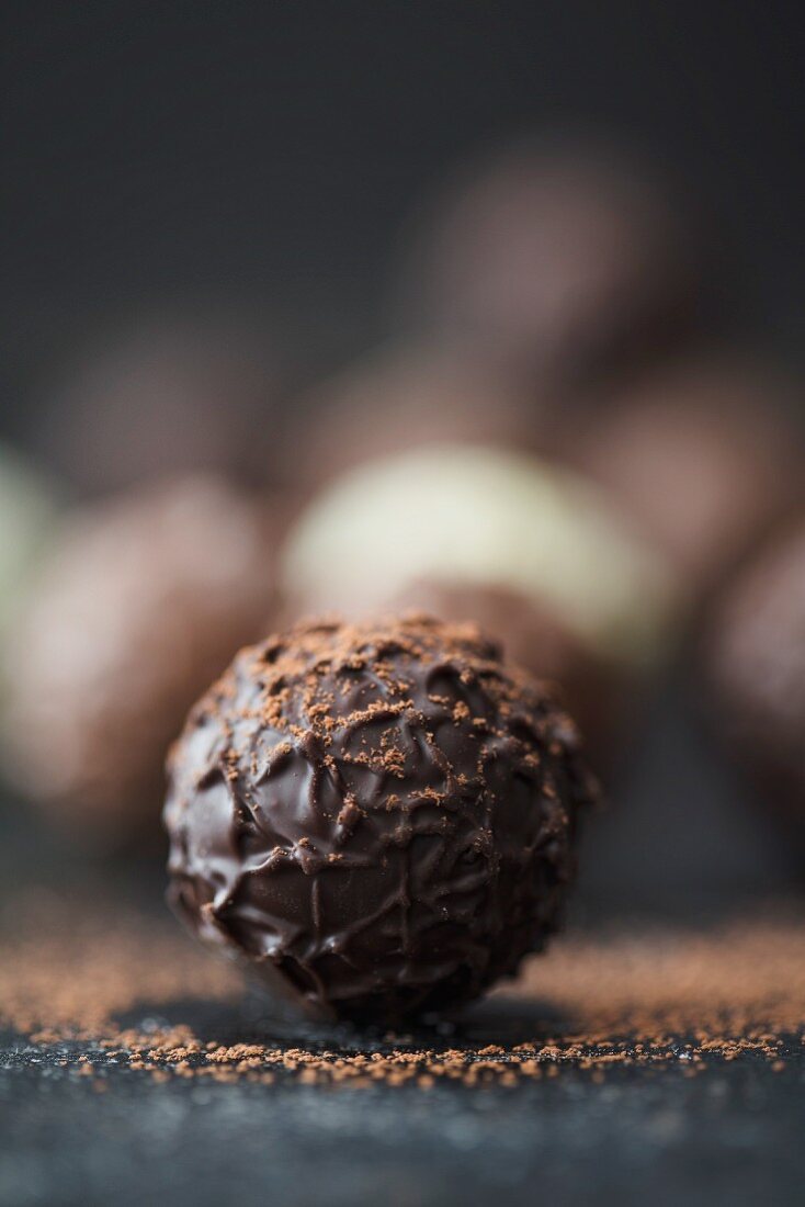 Praline truffles with cocoa powder