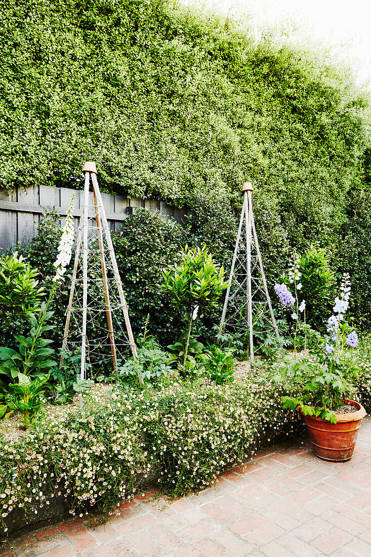 Hohe Rankhilfen im Garten