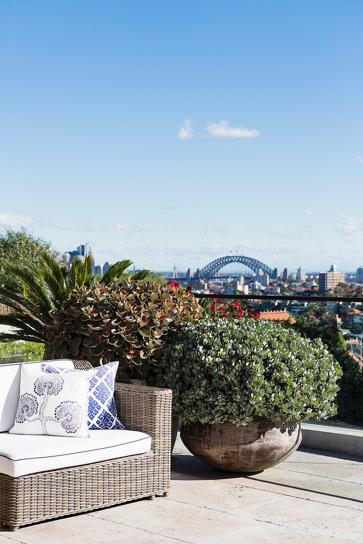 Sitzplatz und Pflanzen auf der Dachterrasse mit Blick auf die Stadt