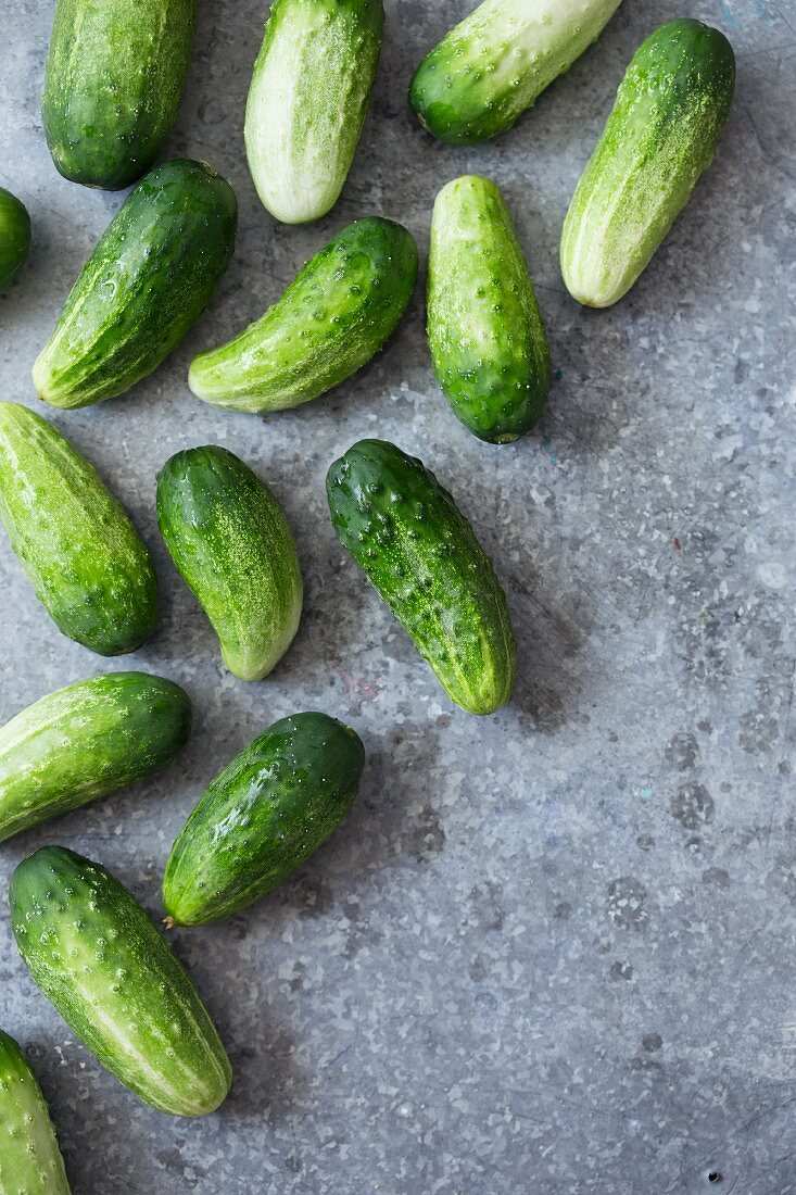 Fresh cucumbers on a metal surface.