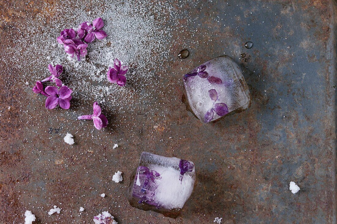 Ice cubes with lilac flowers, white sugar and sugared lilac flowers