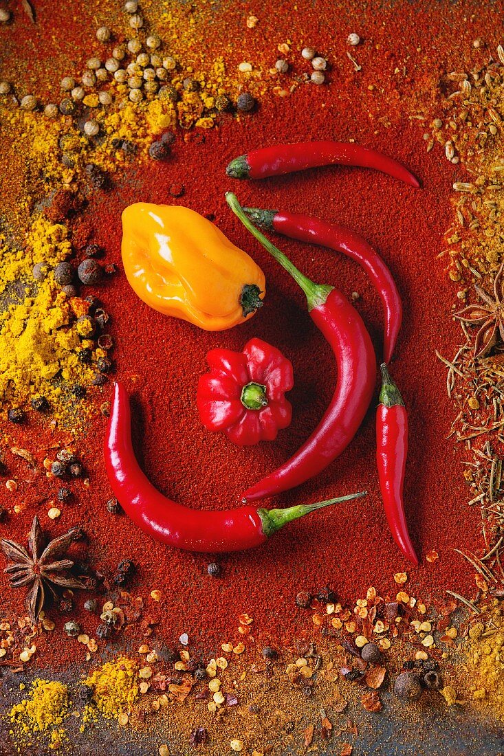 Spicy background with assortment of different hot chili peppers and mix of other spices