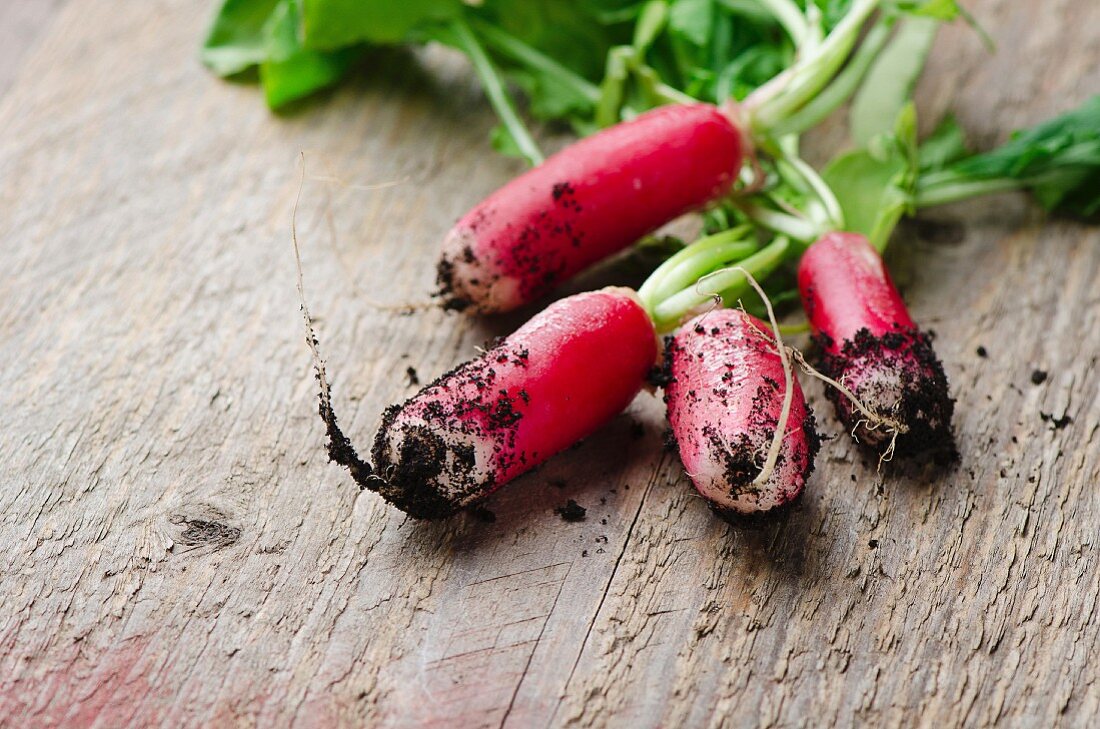 Fresh radishes on a wooden board