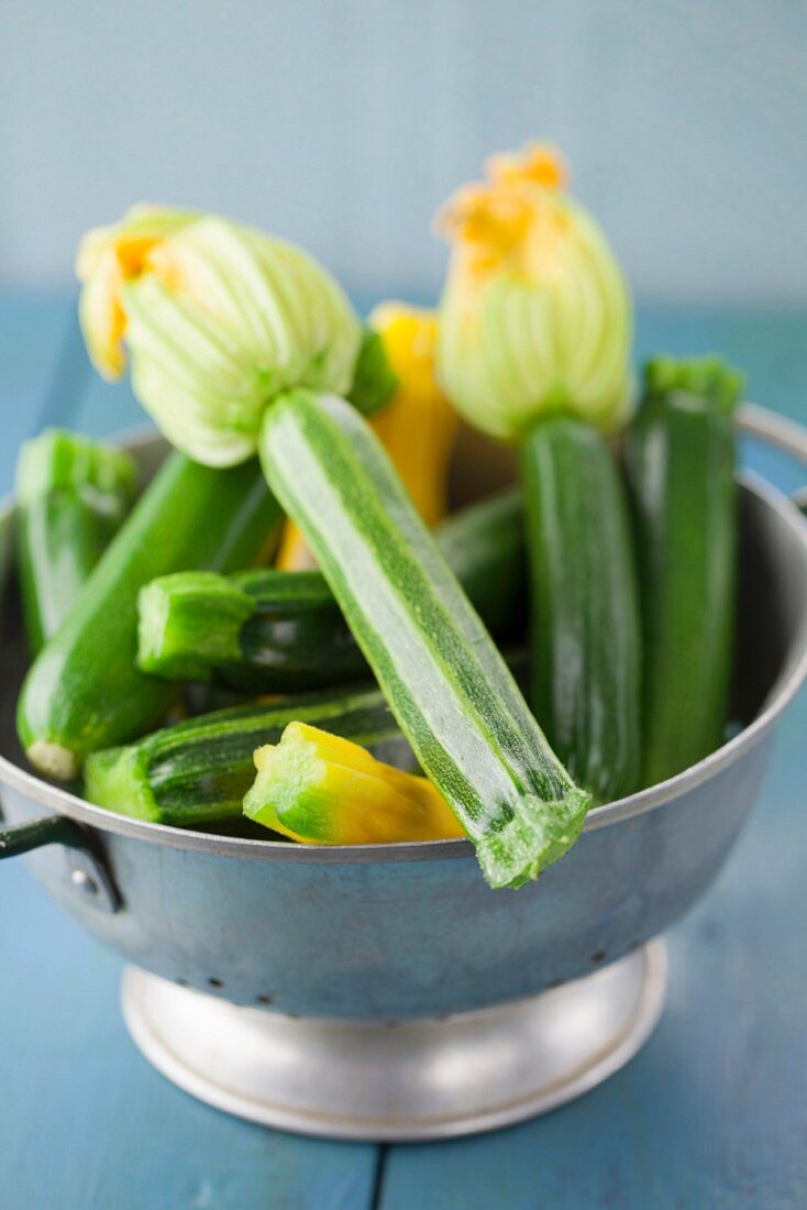 Zucchini mit Blüten in Küchensieb