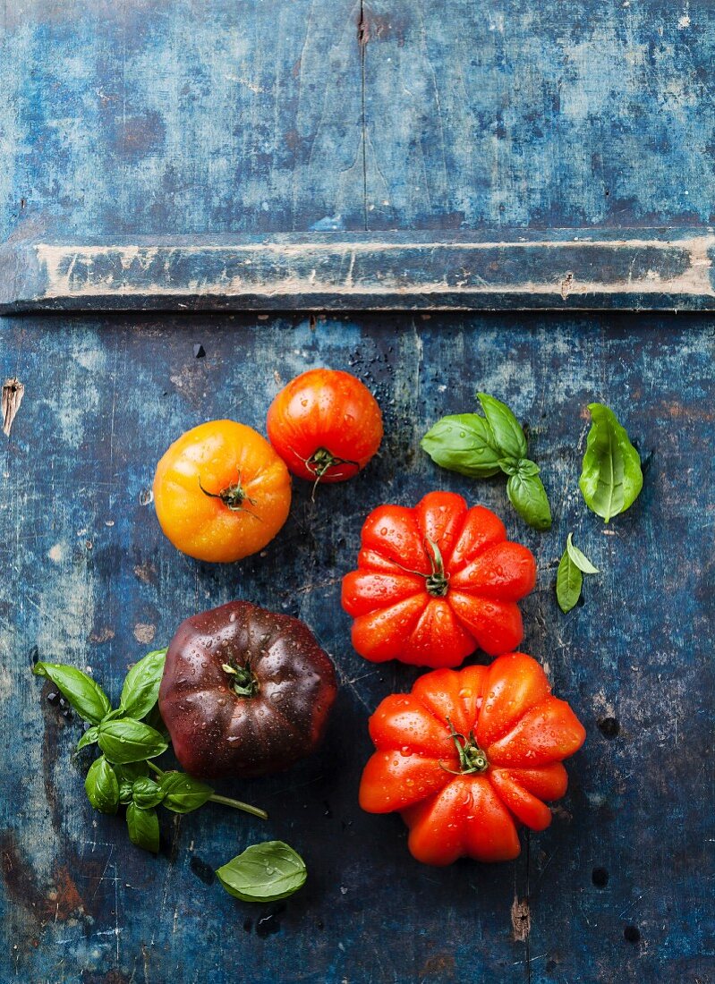 Ripe fresh colorful tomatoes on blue wooden background