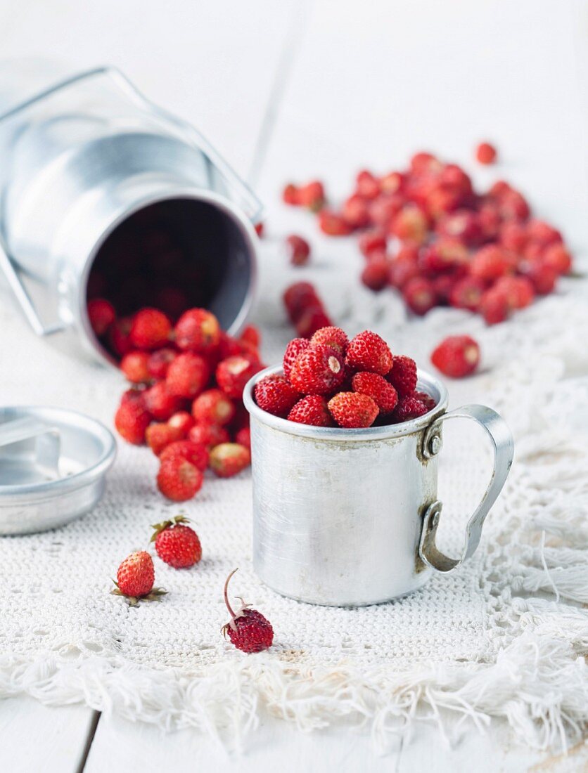 Wild strawberries in a pannikin on a table