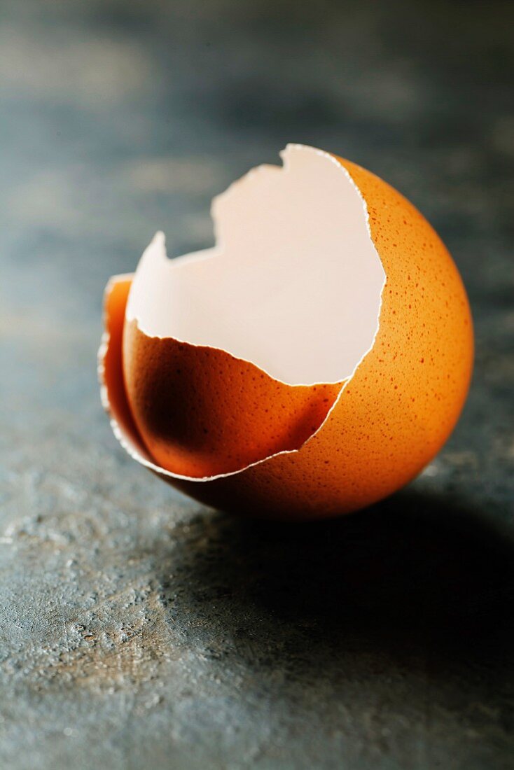 Eggs shell on dark background