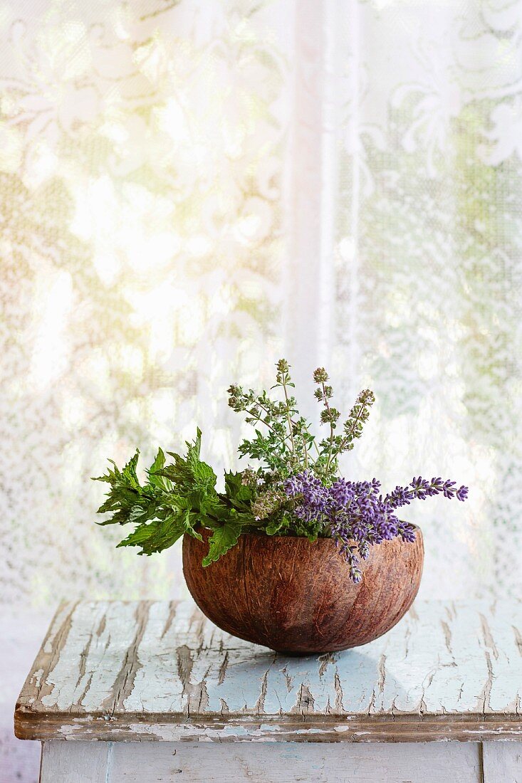 Bouquet of fresh aromatic garden herbs mint, thyme and lavender in half of coconut shell on old wooden table