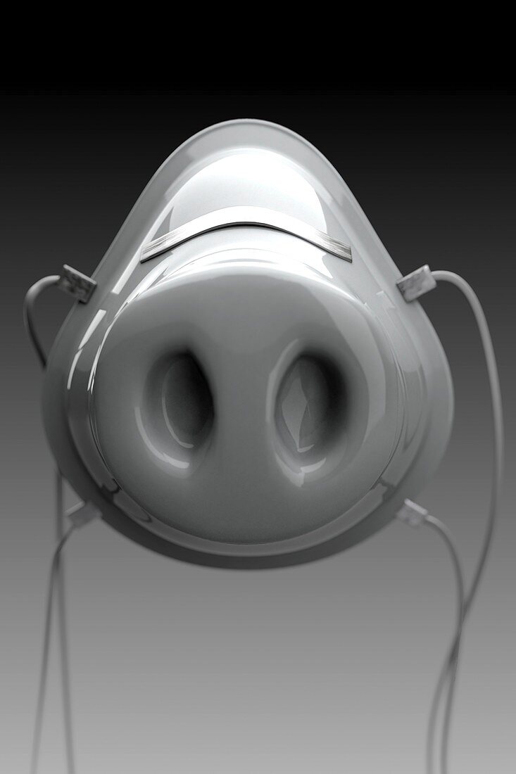 Face Mask (H1N1 concept), artwork