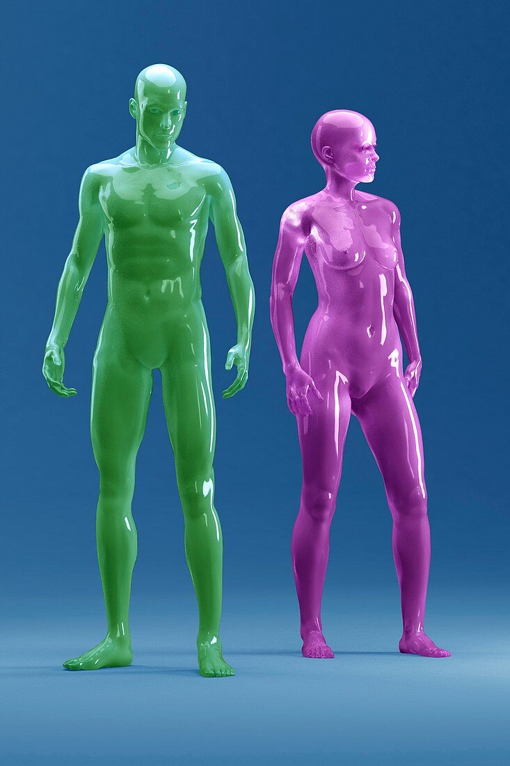 Male and Female Figures (Gender), artwork