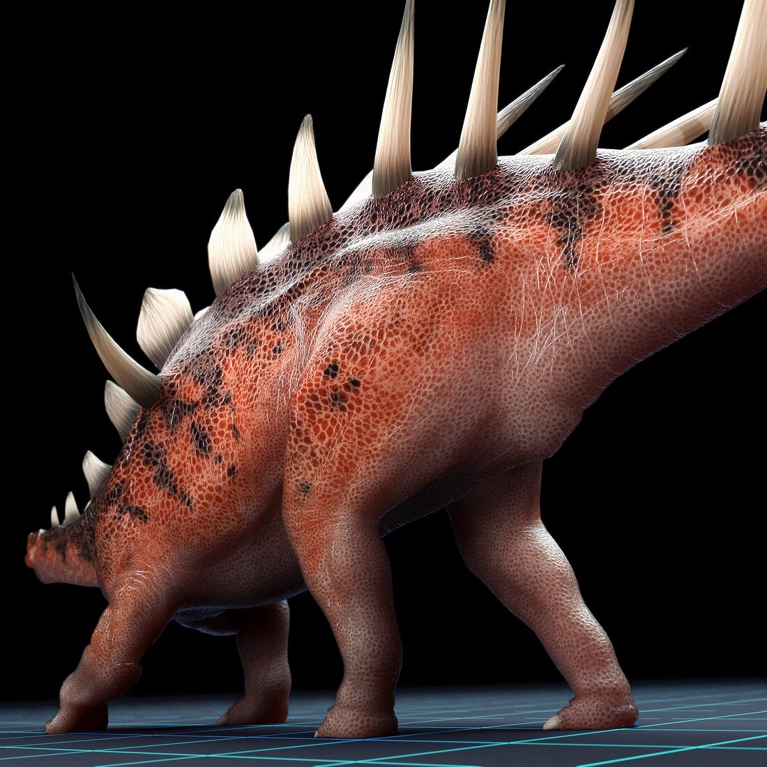 Kentrosaurus Dinosaur, artwork