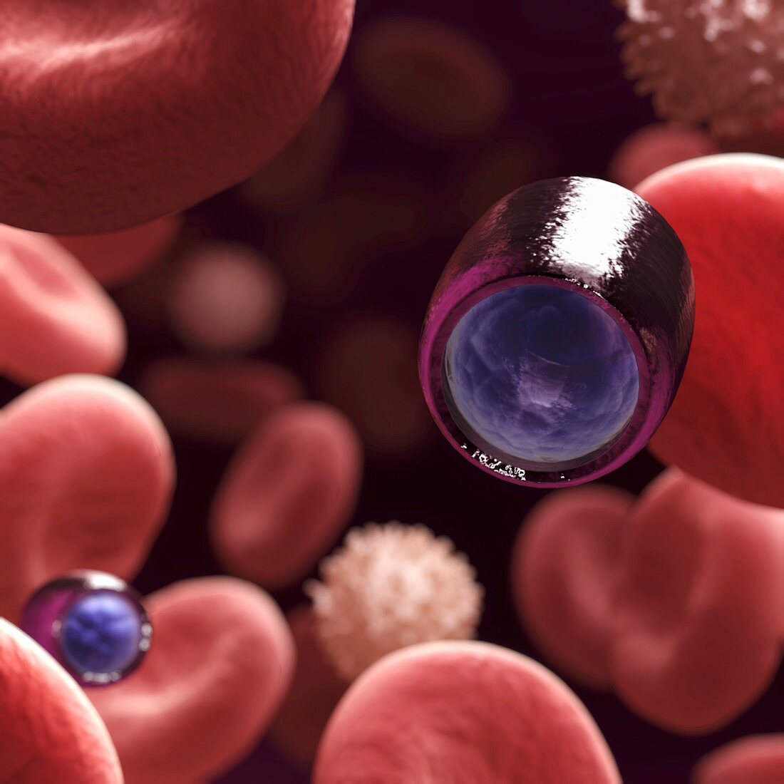 Nanobots in the Blood, artwork