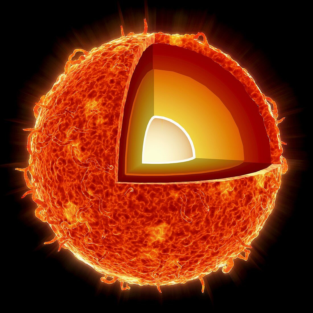 Structure of the Sun, artwork