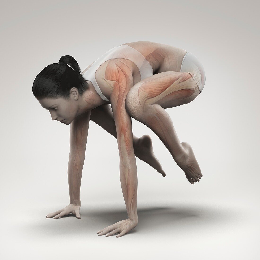 Yoga Crane Pose, artwork