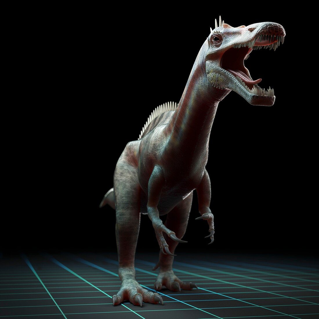 Suchomimus Dinosaur, artwork