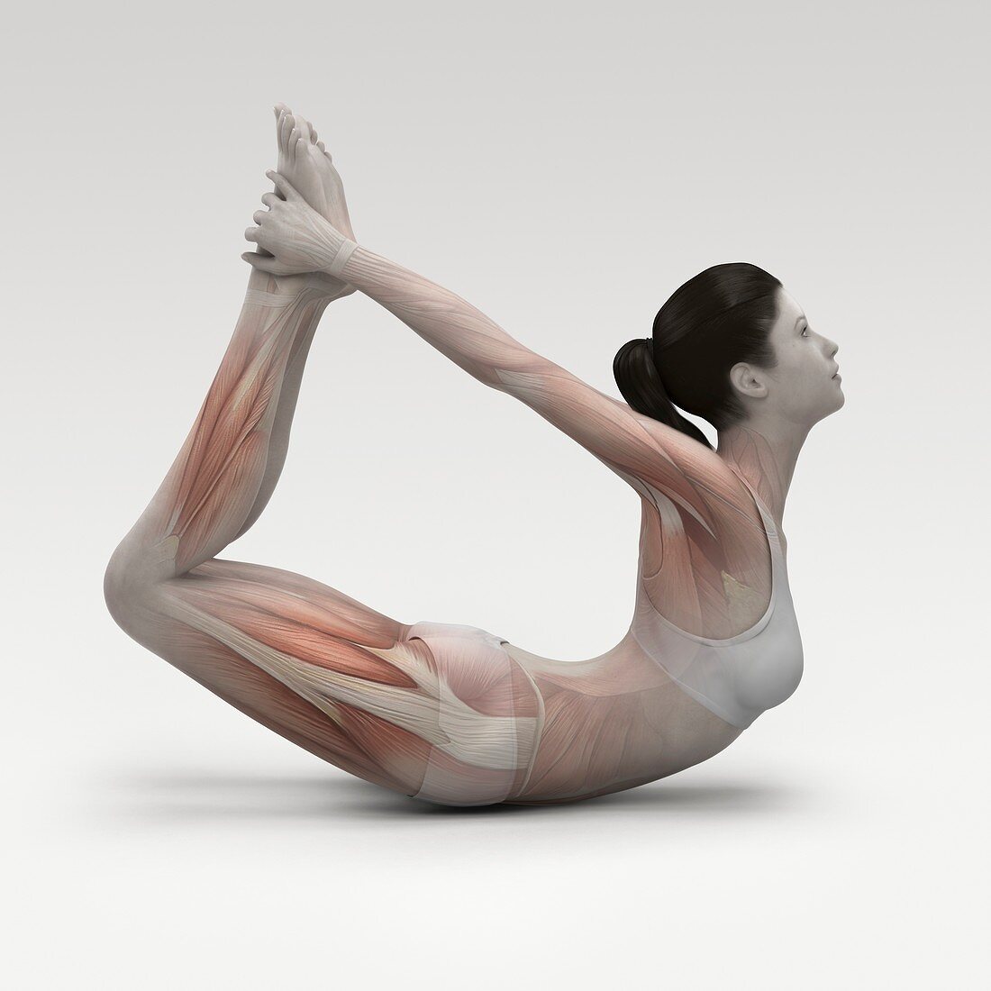 Yoga Bow Pose, artwork