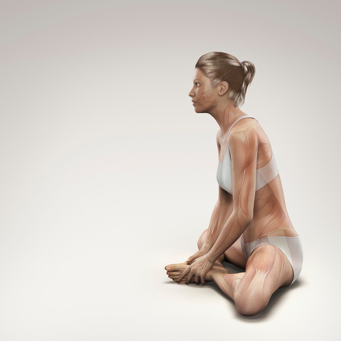 Yoga Bound Angle Pose, artwork