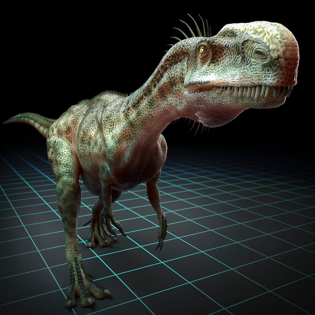 Monolophosaurus Dinosaur, artwork